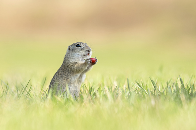 810_2674_JPG_neu_1_1_1