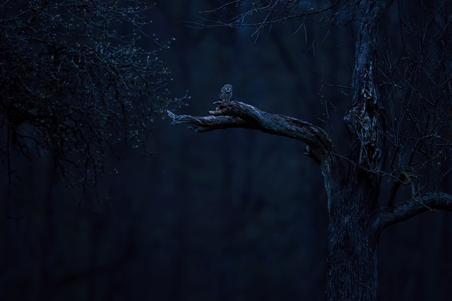 IZA_1144hellerheller